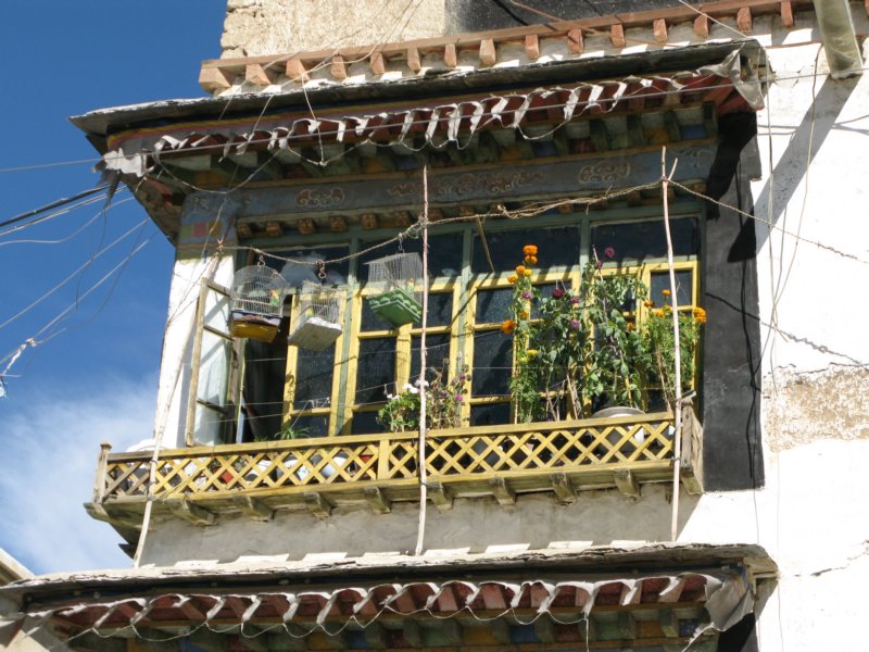 shigatsetibetanoldtown2.jpg